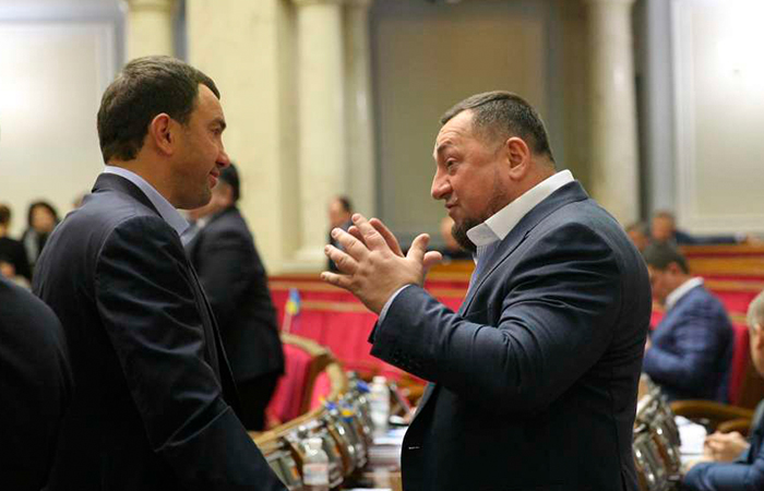 deputaty proholosuvaly za reformu audytorskoi diialnosti